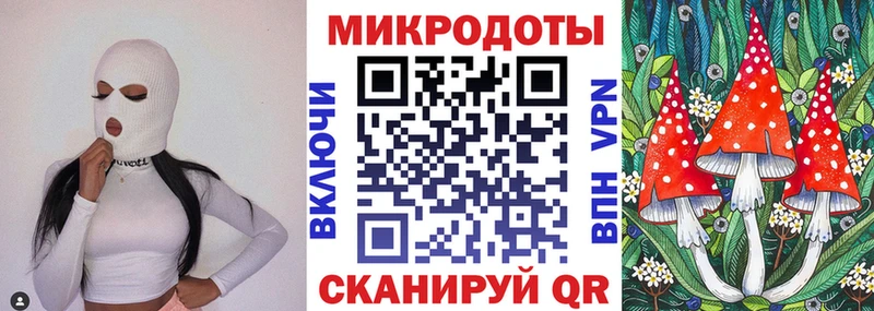 Галлюциногенные грибы Psilocybe  где можно купить наркотик  Орск 