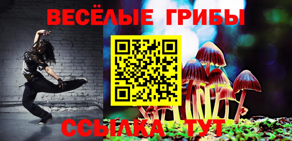 Псилоцибиновые грибы Psilocybine cubensis  Псилоцибиновые грибы Magic Shrooms  Орск 